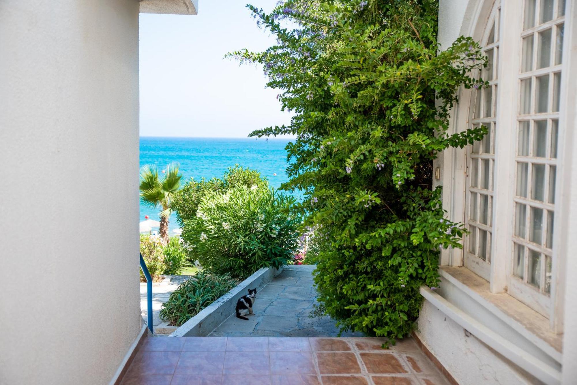 Pissouri Bay Studio 외부 사진